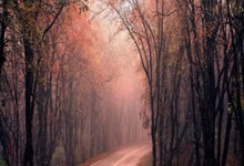 布伦森31+6阿德巴约30+7 尼克斯加时逆转热火.