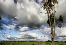 狗子28官方网站：场负，多特自／赛季以来首次单赛季德甲输球超过场.