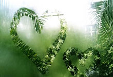 阿森纳&英格兰祝贺斯凯利首次入选三狮名单：一个突破性的赛季！.