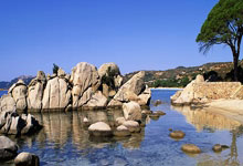 狗子28官方网站：场负，多特自／赛季以来首次单赛季德甲输球超过场.